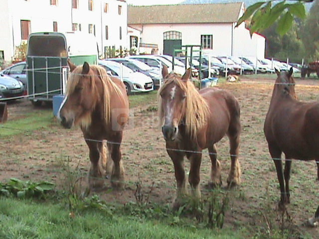 Bati salle plus gite
