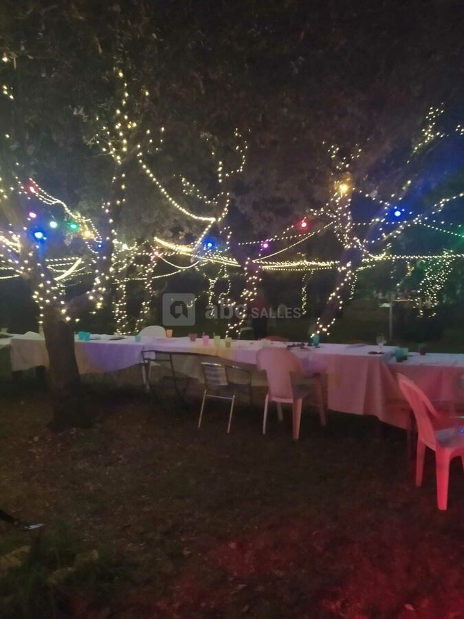 Dans le parc sous un ciel de lumières