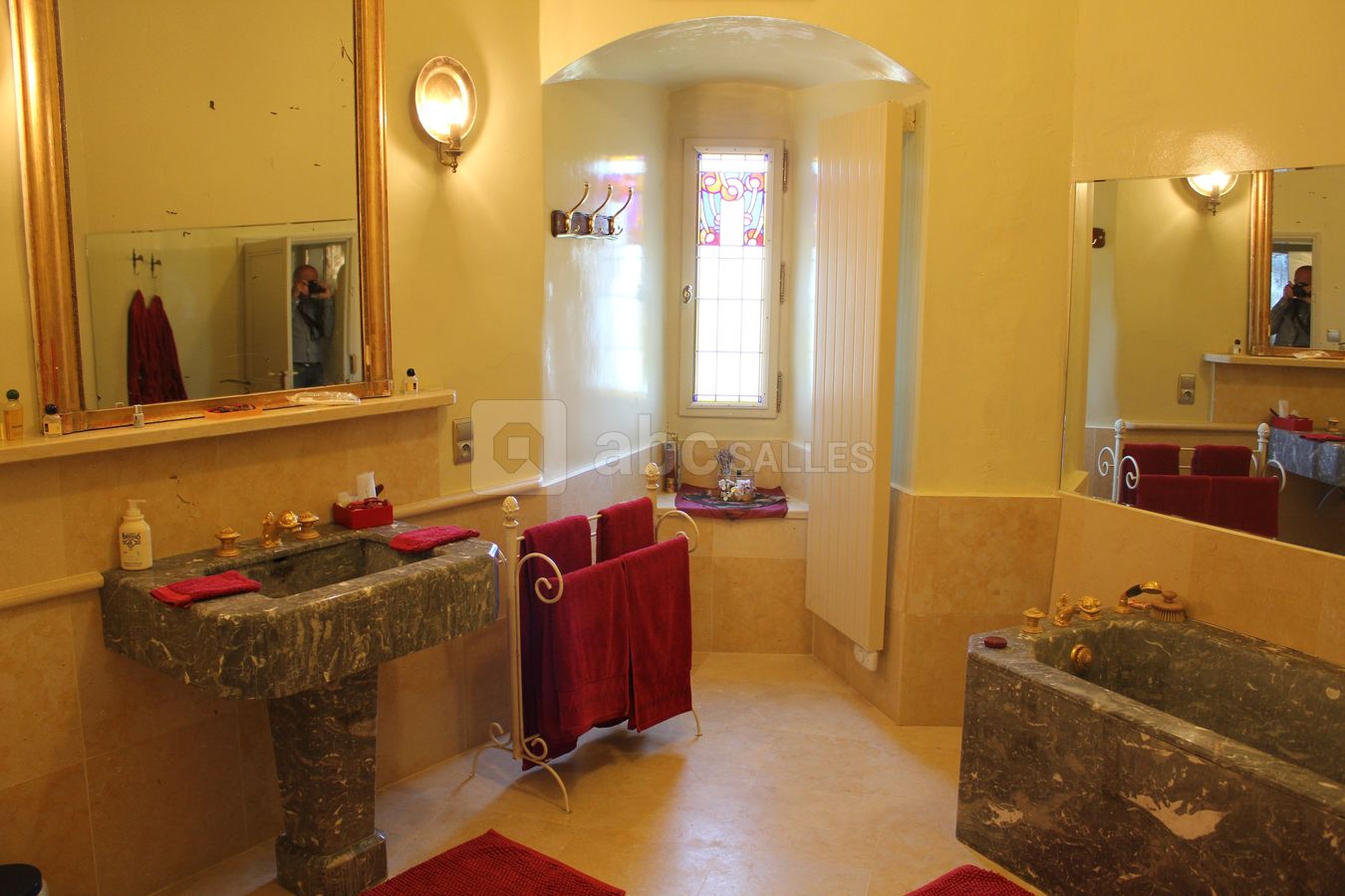 Château de Saint Maixant