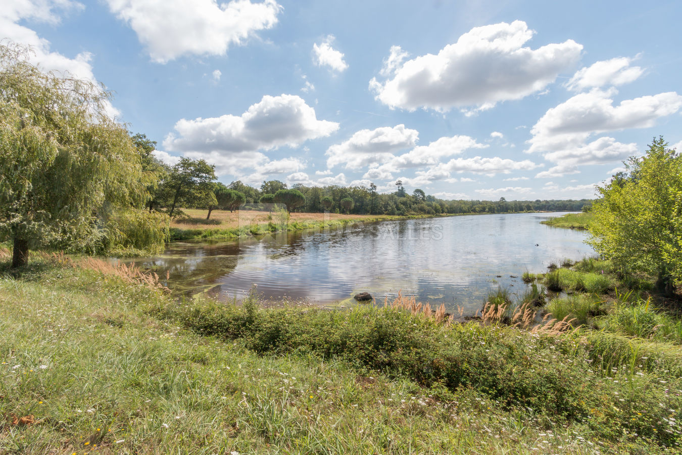 Parc et lac
