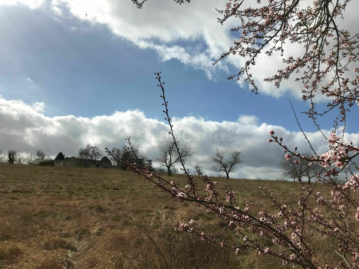 La Fleure de Quinsac