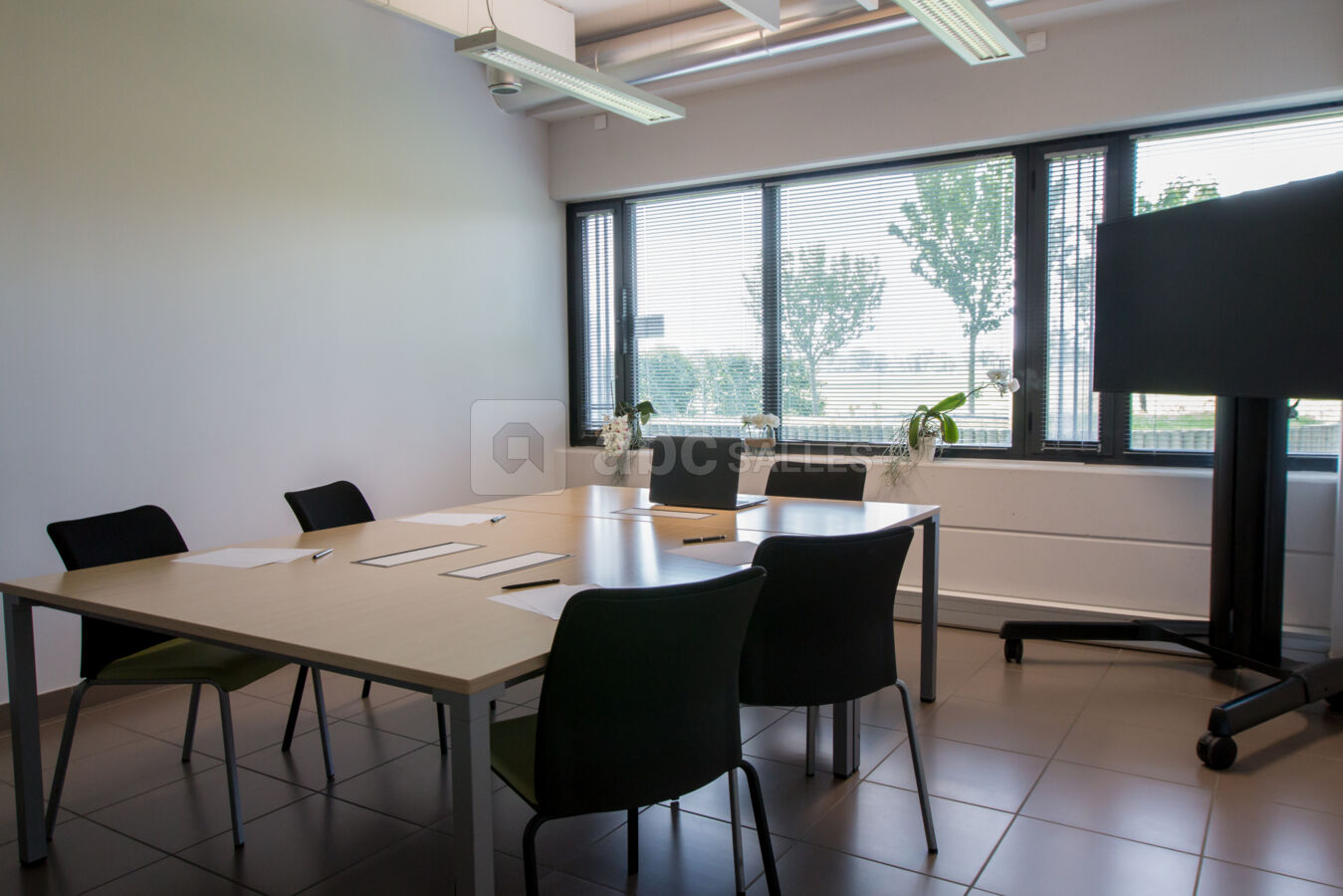 Salle 5
