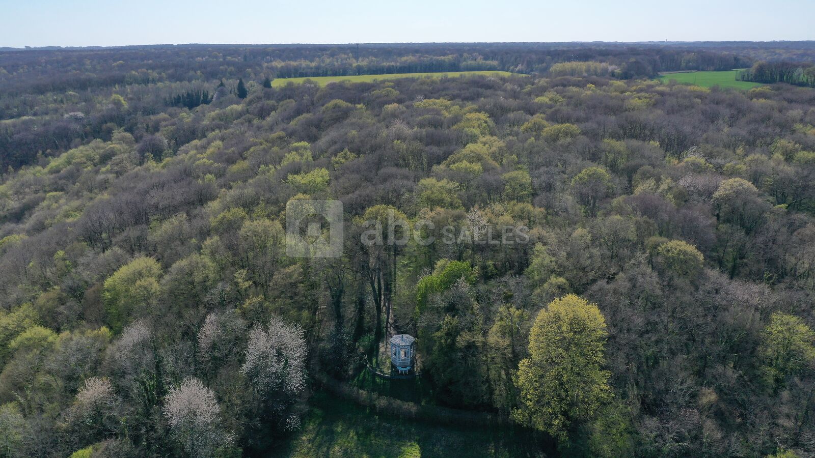 AU COEUR DE LA FORET DE ROSNY
