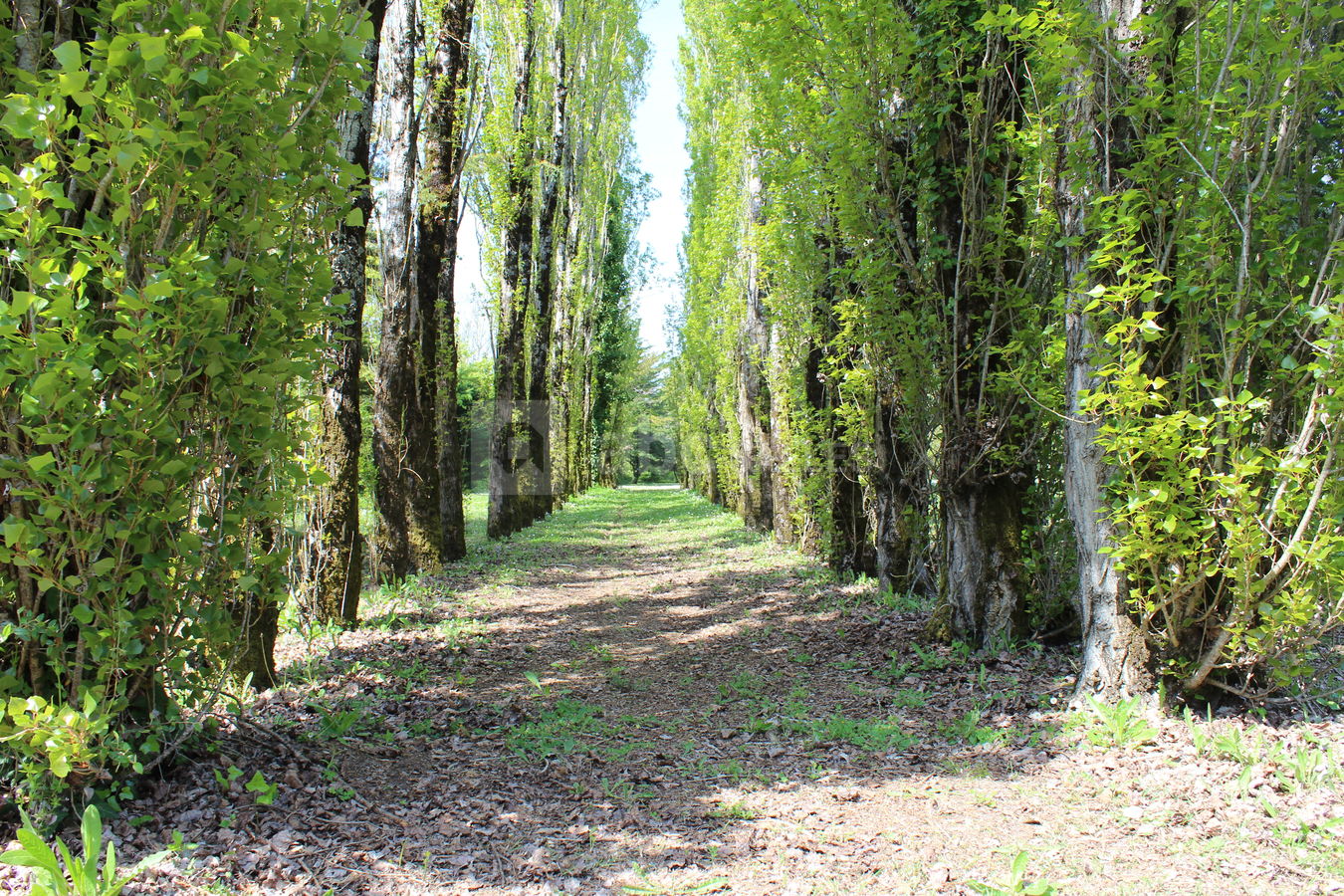 Parc