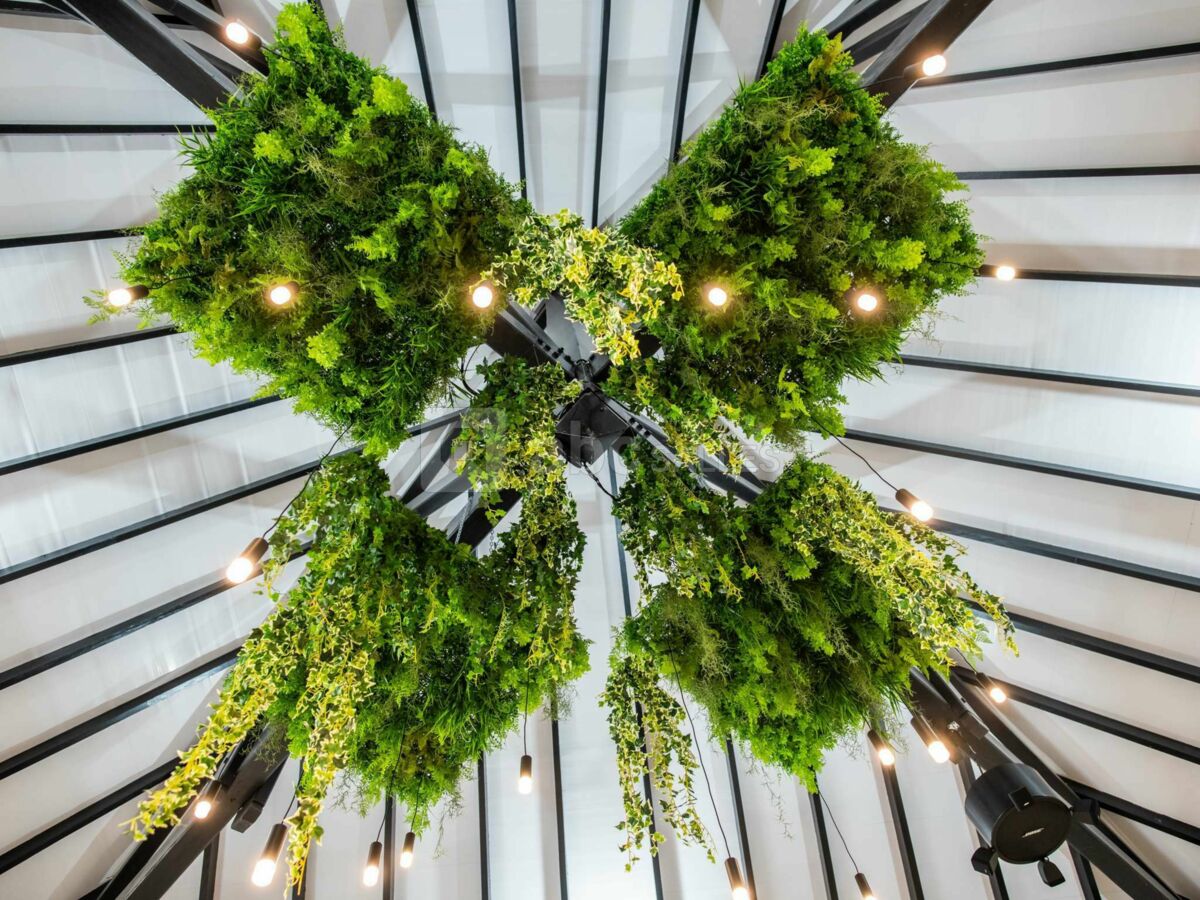 Ibis Styles Cayenne Centre Amazonia