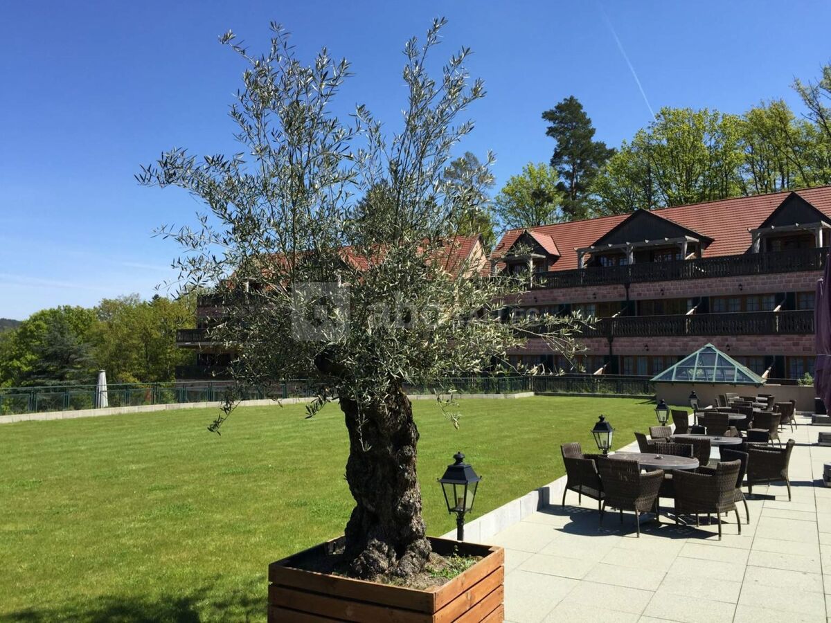 Les Violettes Hôtel & Spa