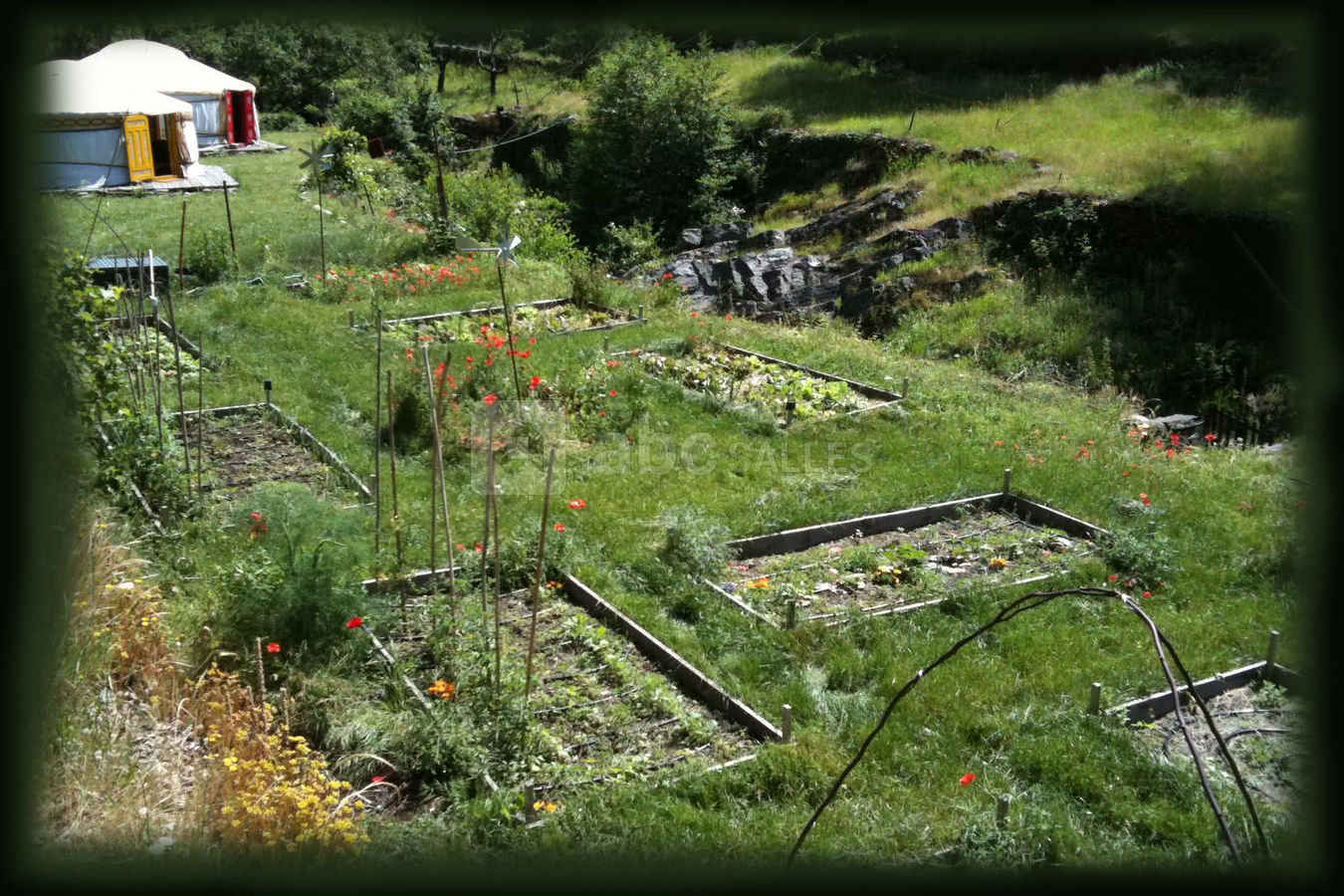 Notre jardin