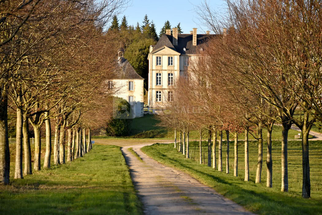 Arrivée par l'allée arborée