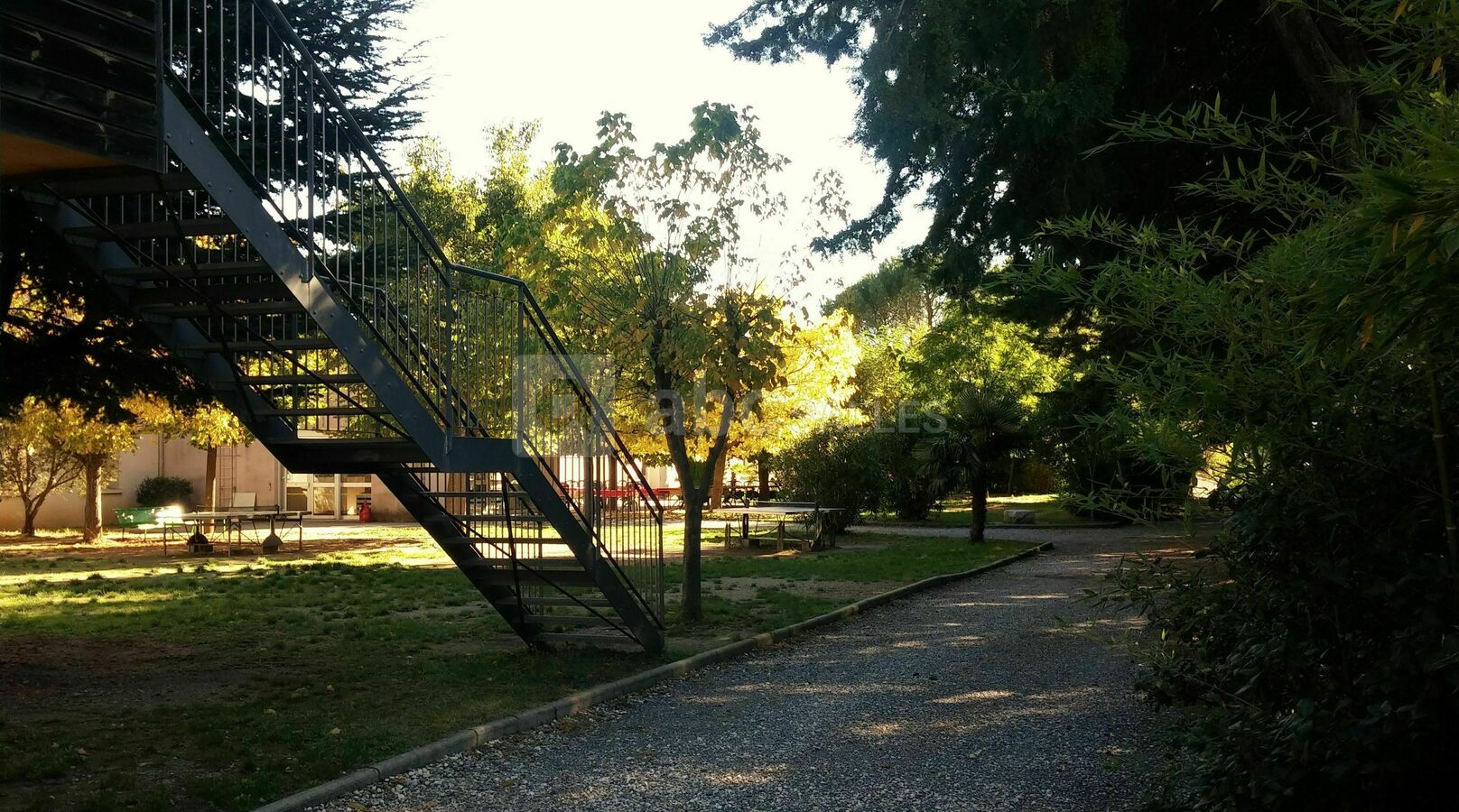 Le parc en automne