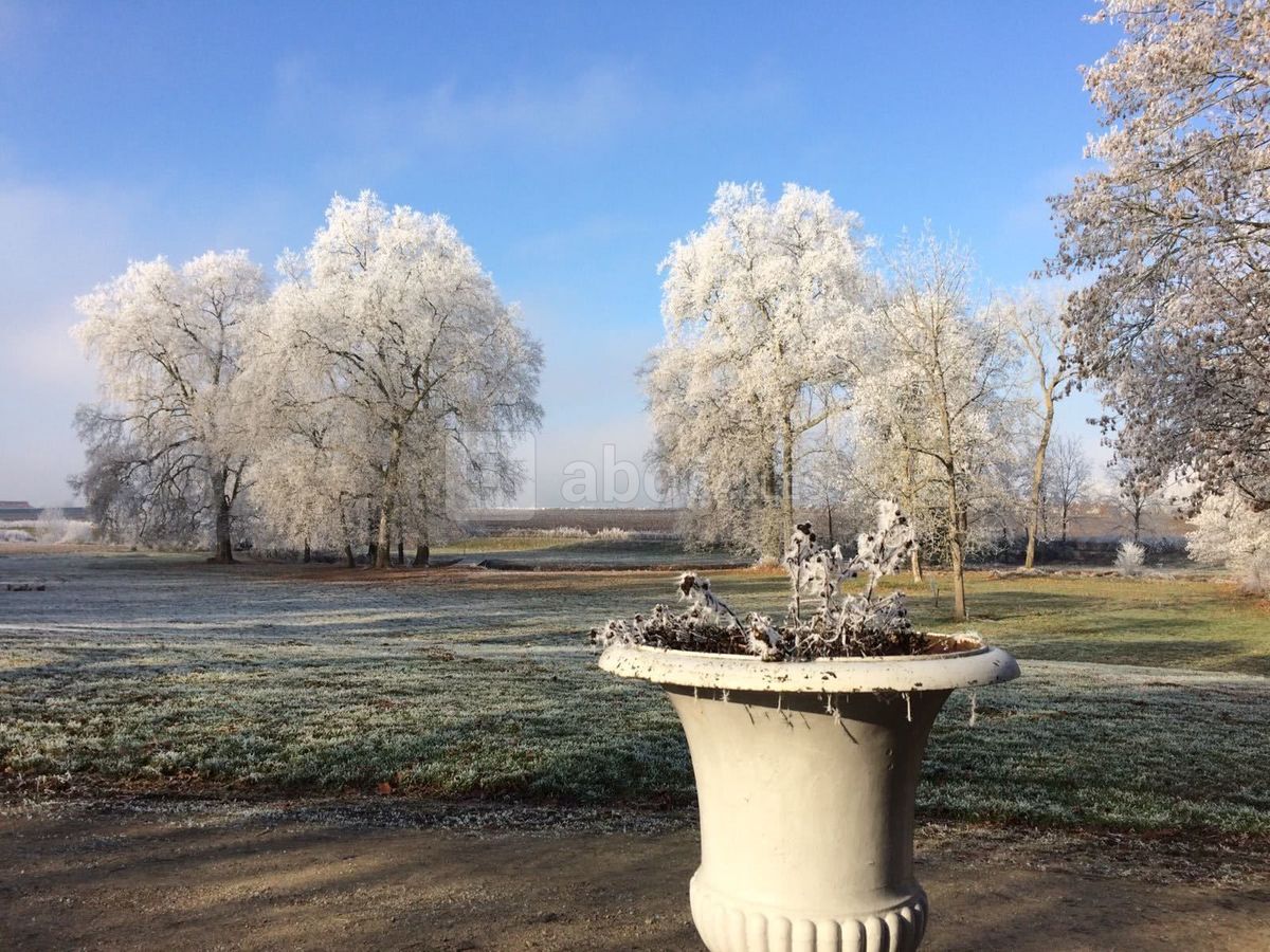 Le parc en hiver