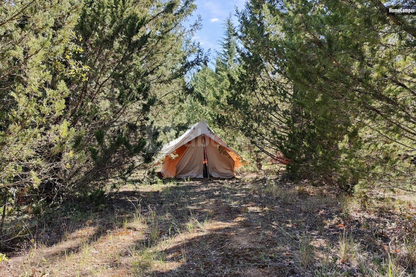 Camping sur une plantation mixte du Domaine.