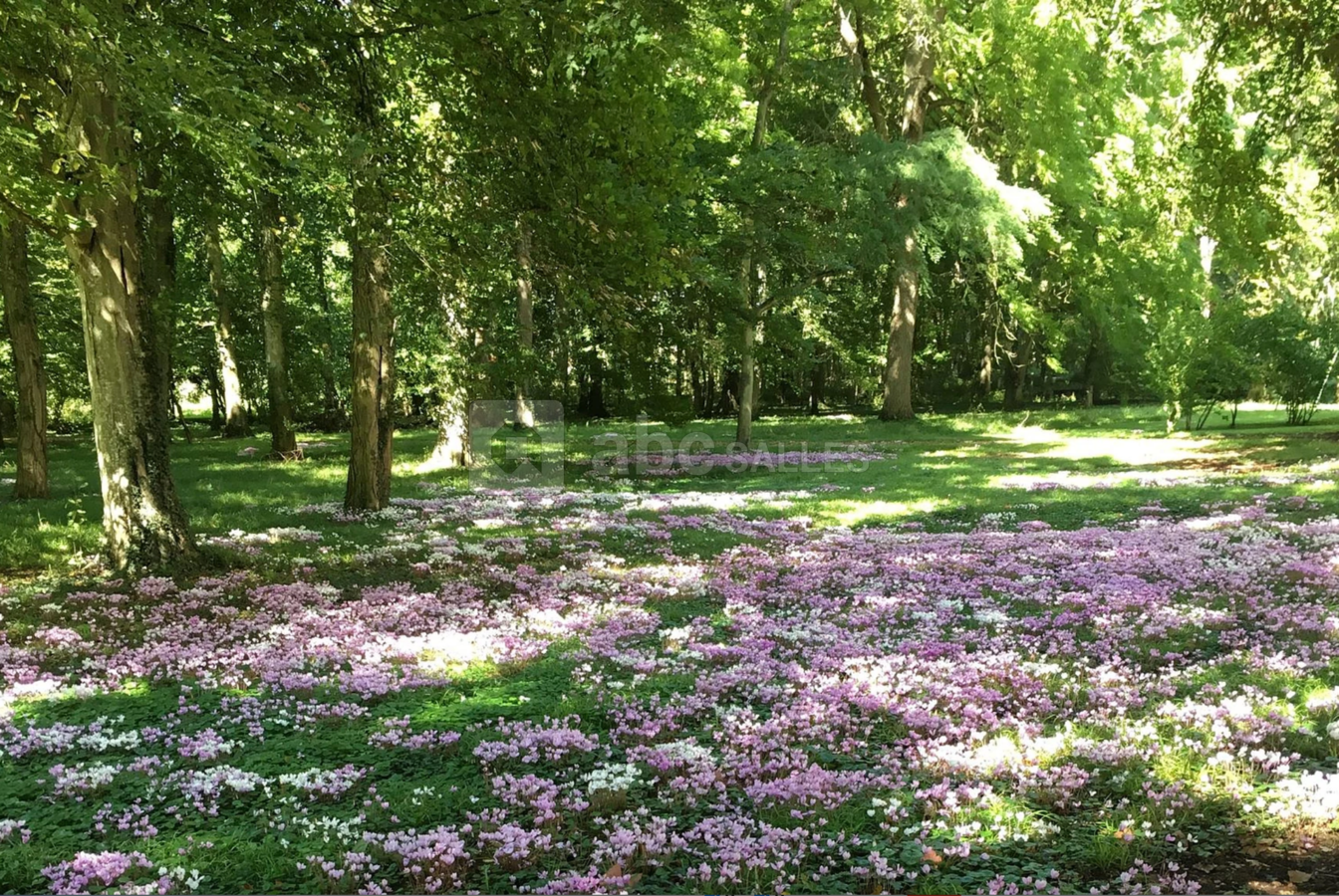 Parc