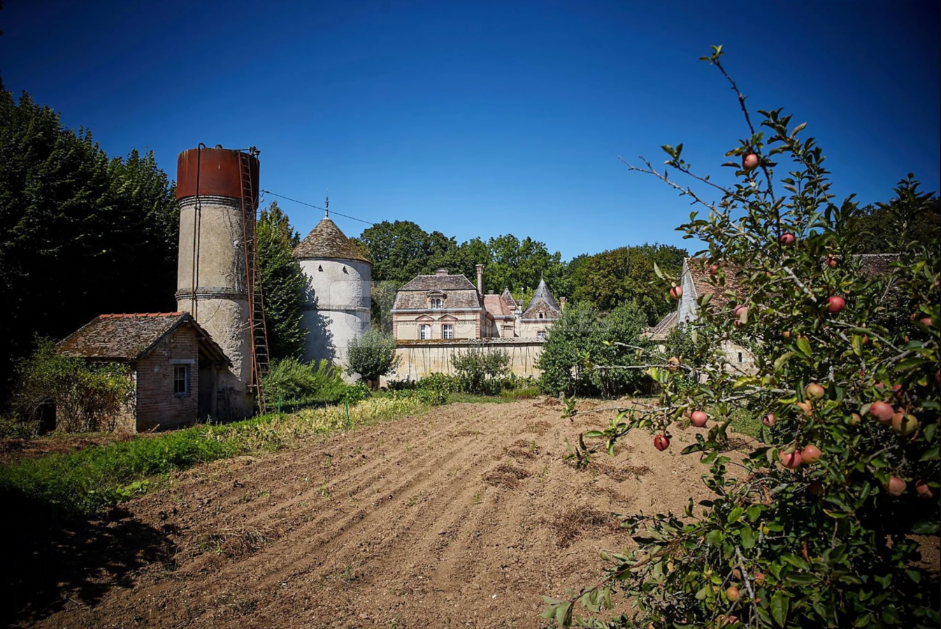 Potager