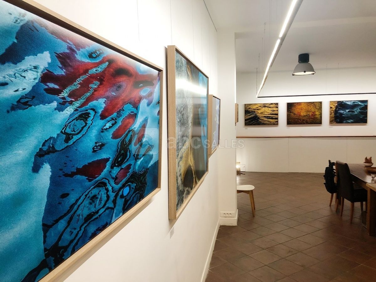 Vue d'une partie de l'exposition Chasing Hallucinations