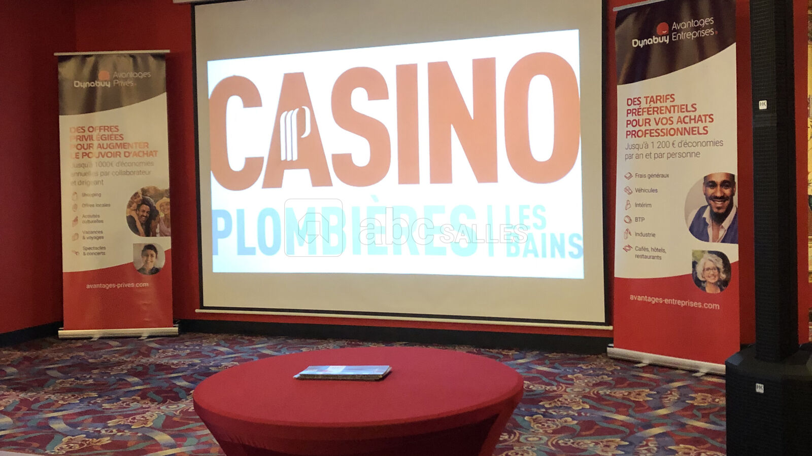 Présentation professionnelle
