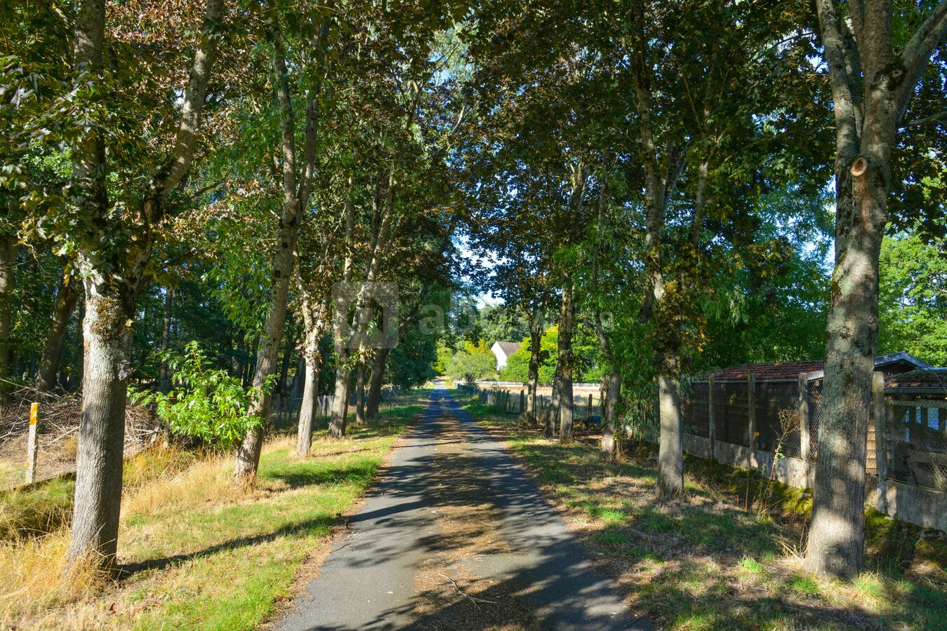 Allée