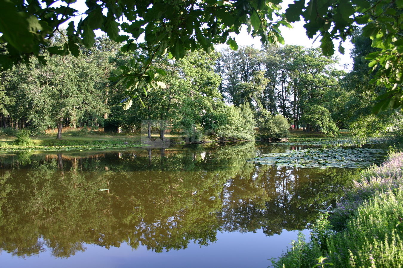 Étang du Domaine