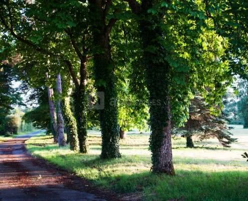 Château du Parc Saint-Lambert
