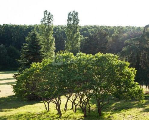 Château du Parc Saint-Lambert