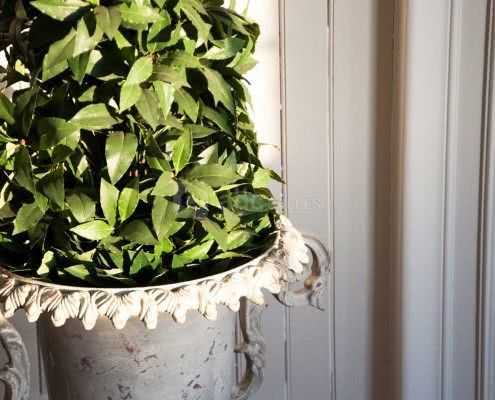 Château du Parc Saint-Lambert