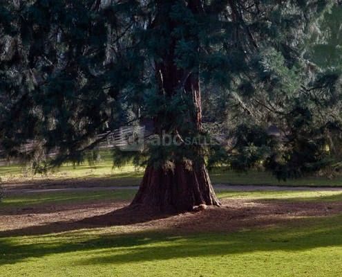 Château du Parc Saint-Lambert
