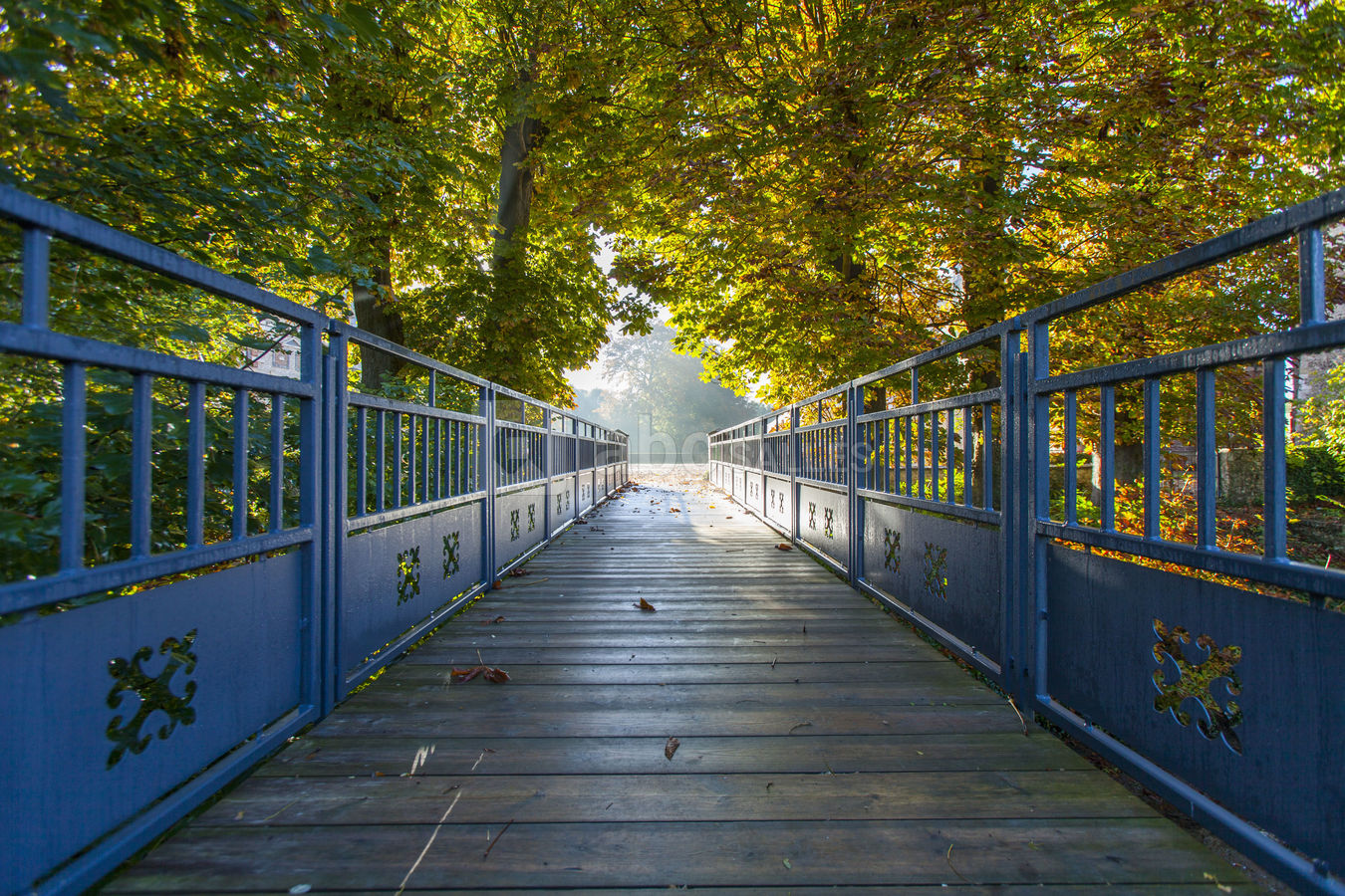 Pont accès cour du château