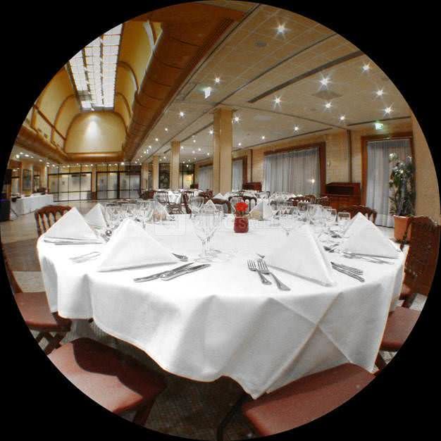 Banquet dans les salons de l'europe