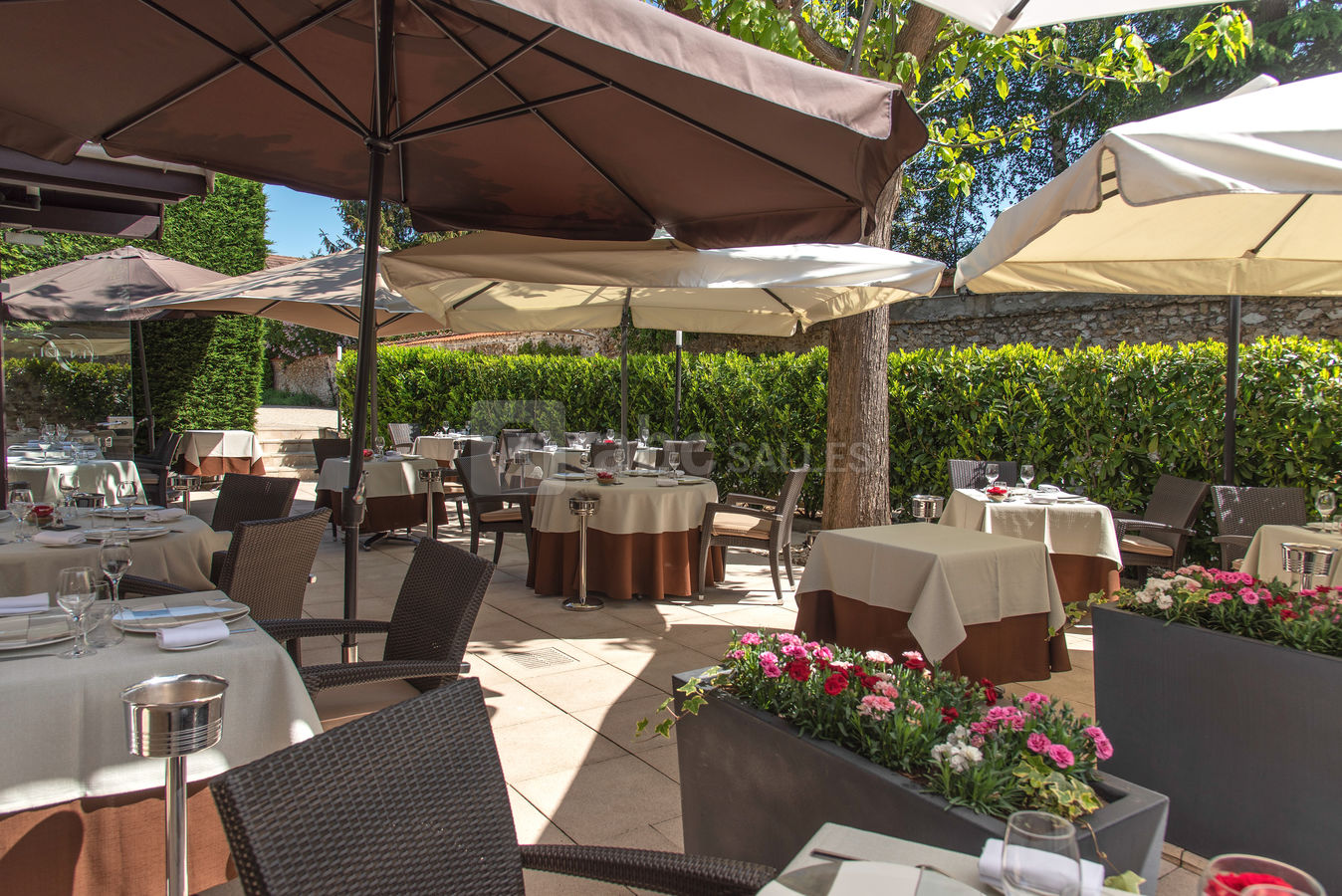 Terrasse bis