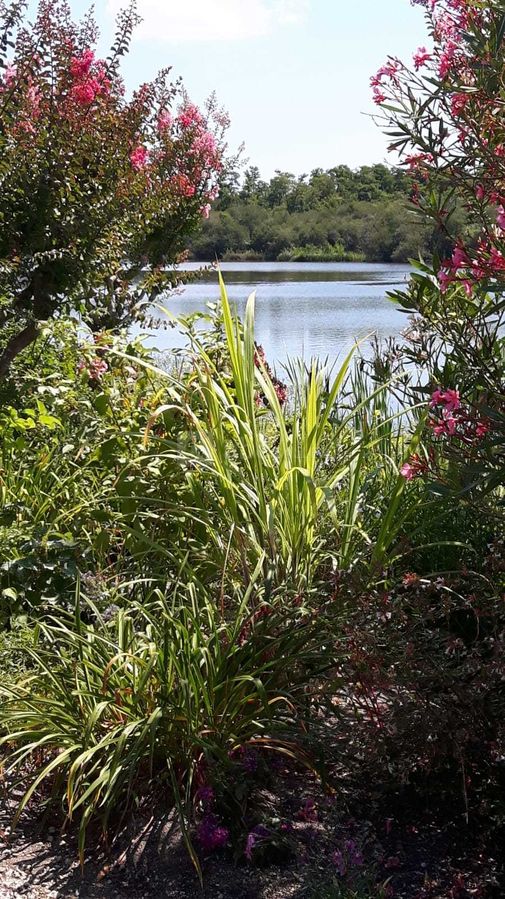 Le lac