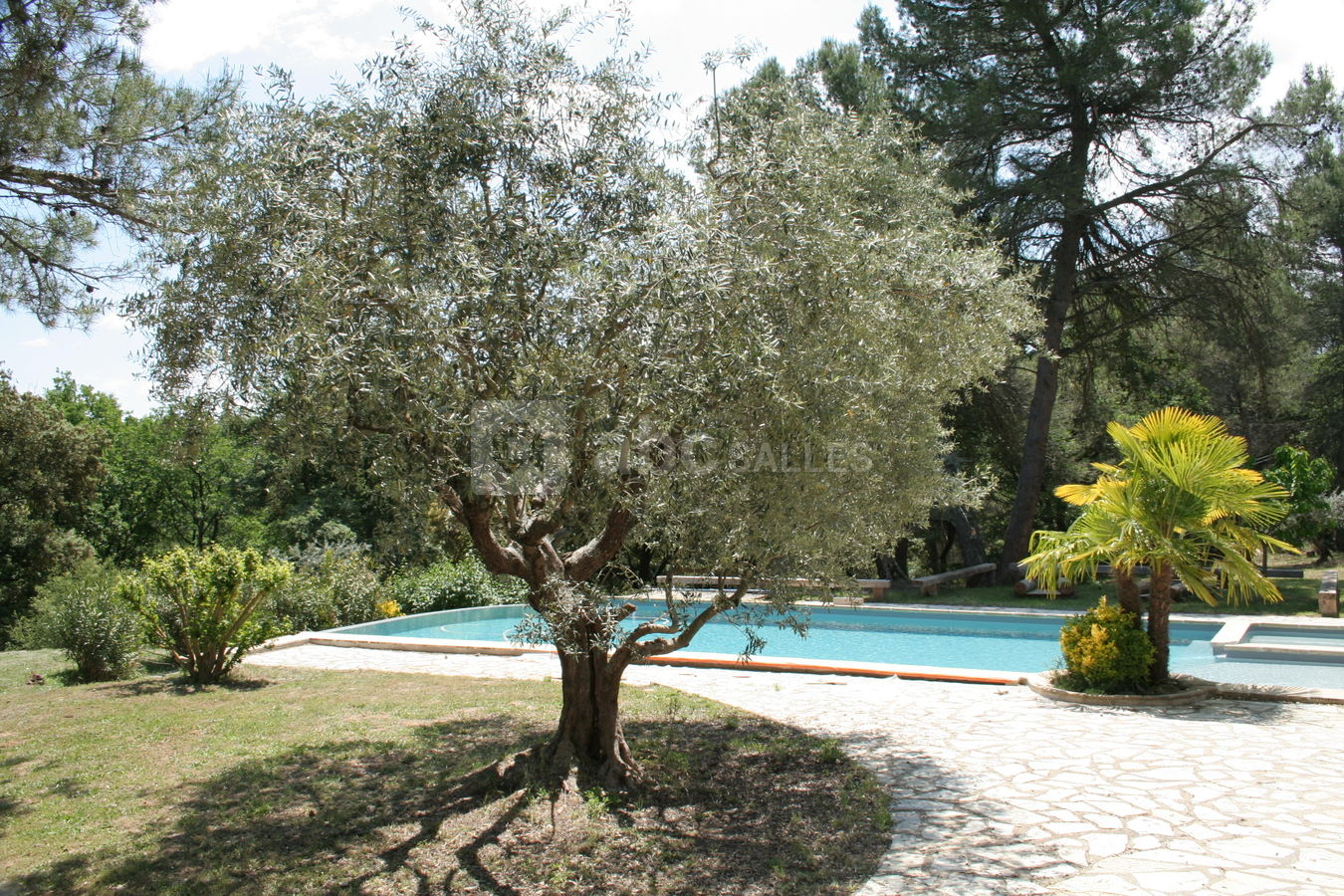 Espace vin d'honneur