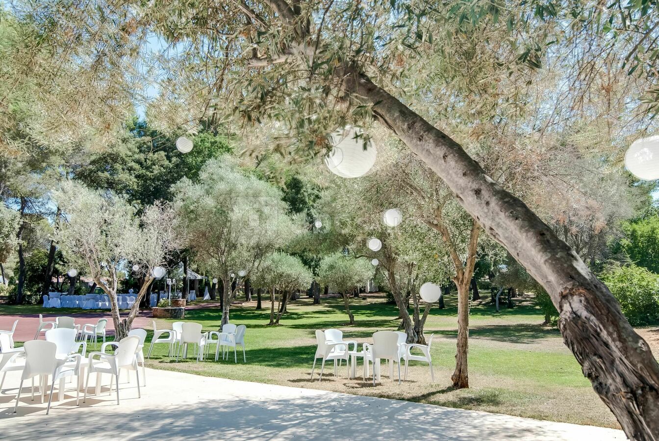 Parc arboré