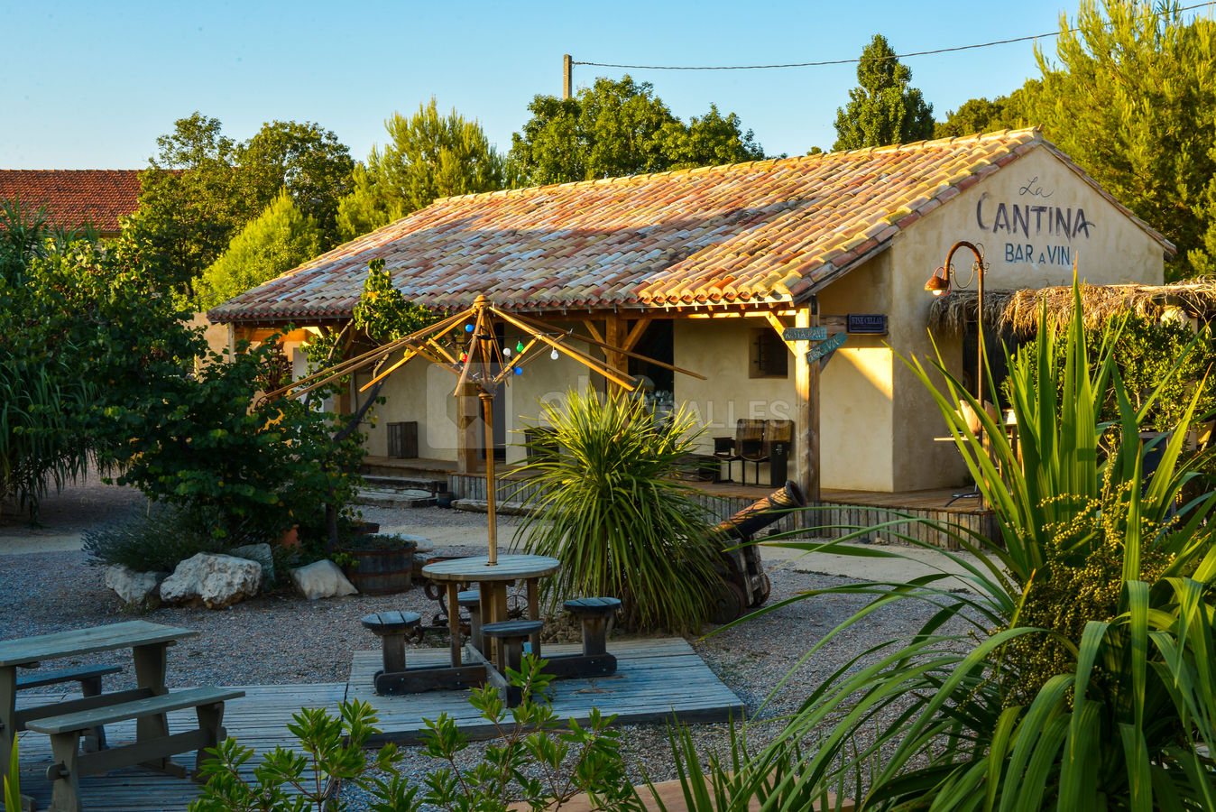 Le bar à vin