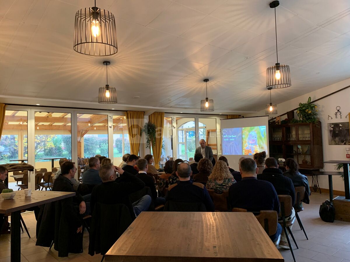 El Campo : Salle de réunion, Séminaires, afterwork,