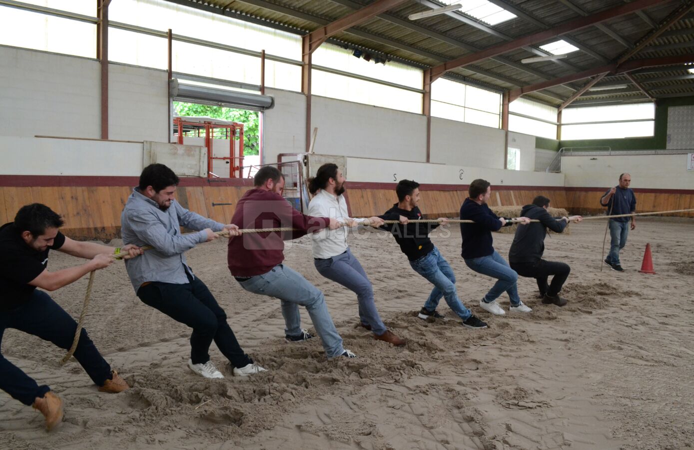 Animations sportives