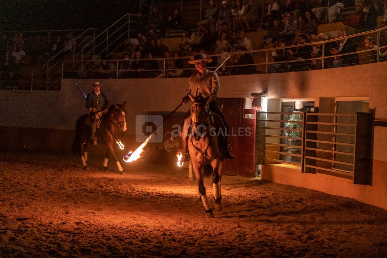 Spectacle équestre privé