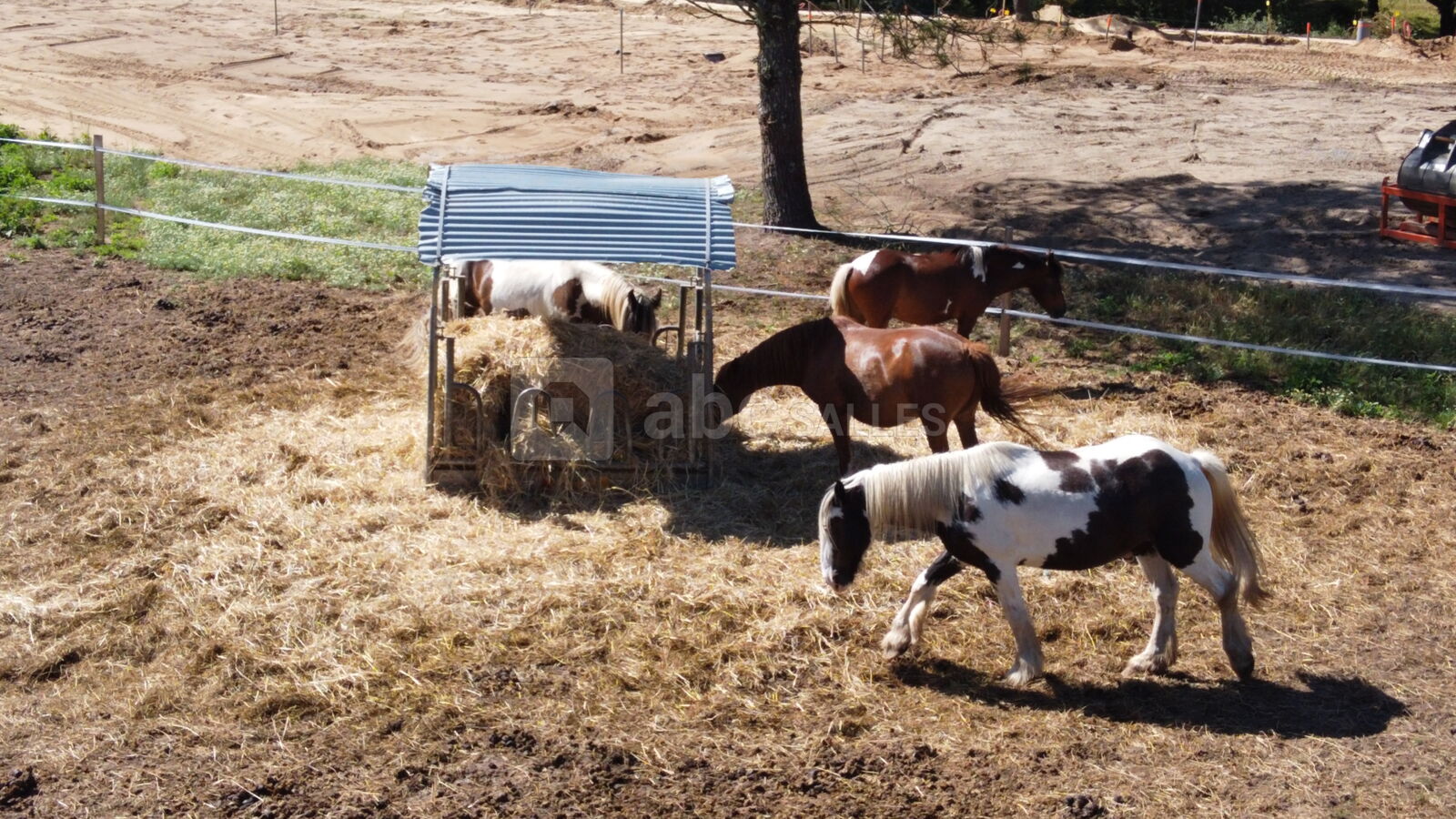Vue sur les chevaux depuis les roulottes