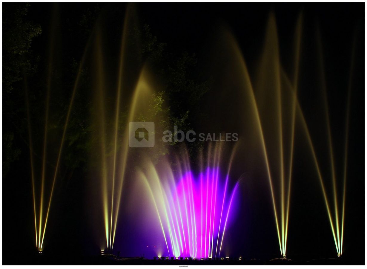 Spectacle LA MAGIE DE L'EAU