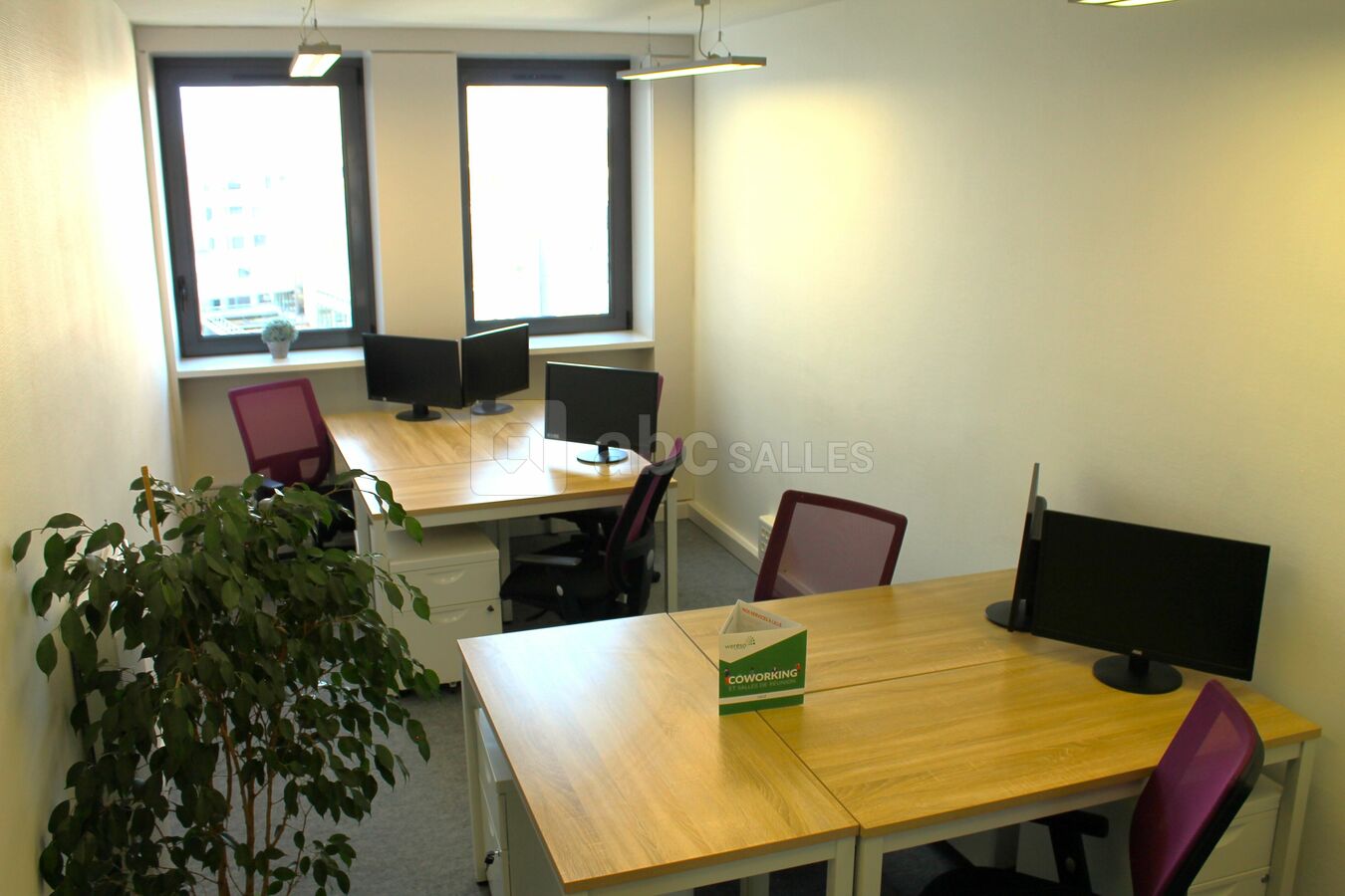 Bureau Privé Mainsquare
