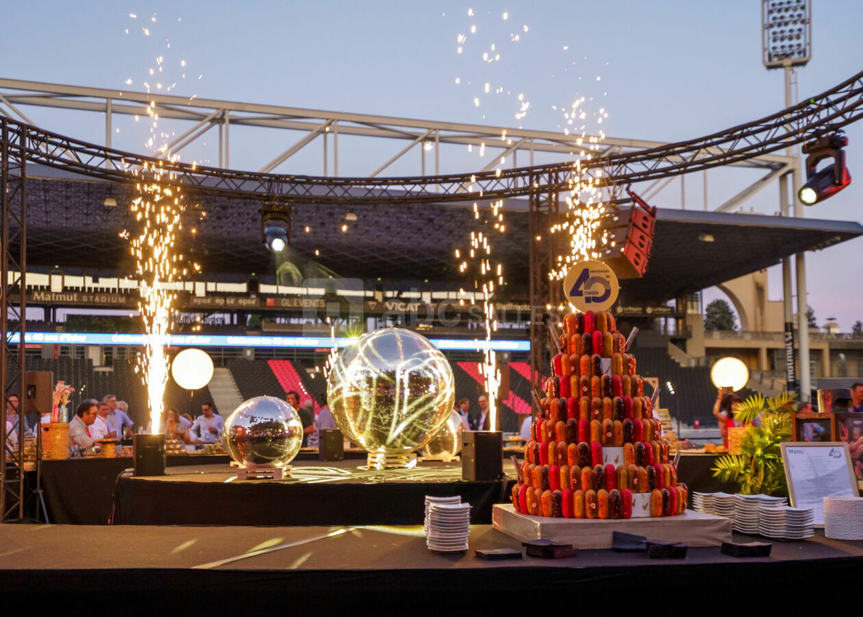 Matmut Stadium - Terrain