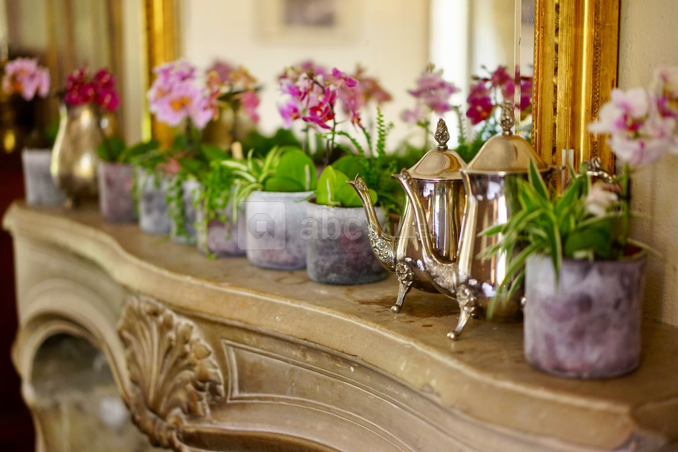 Pots de fleurs