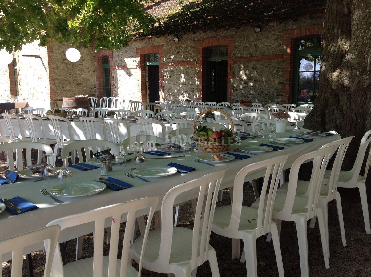 Lendemain de mariage sous le tilleul