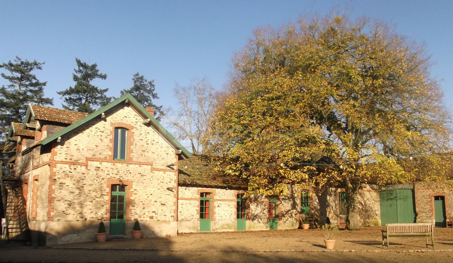 La Cour des Montys
