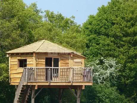 Cabane perchée
