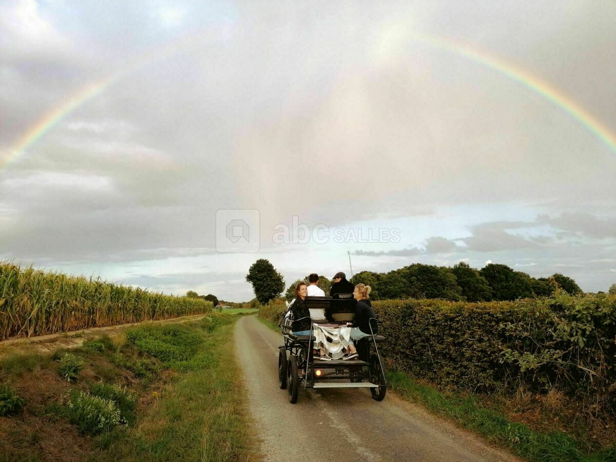 Une arrivée en calèche à votre mariage?