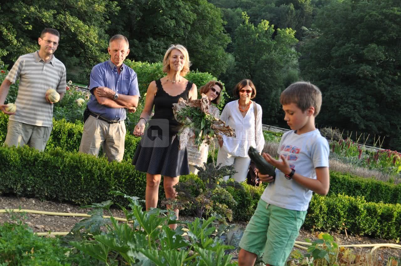 Decouverte des légumes du potager