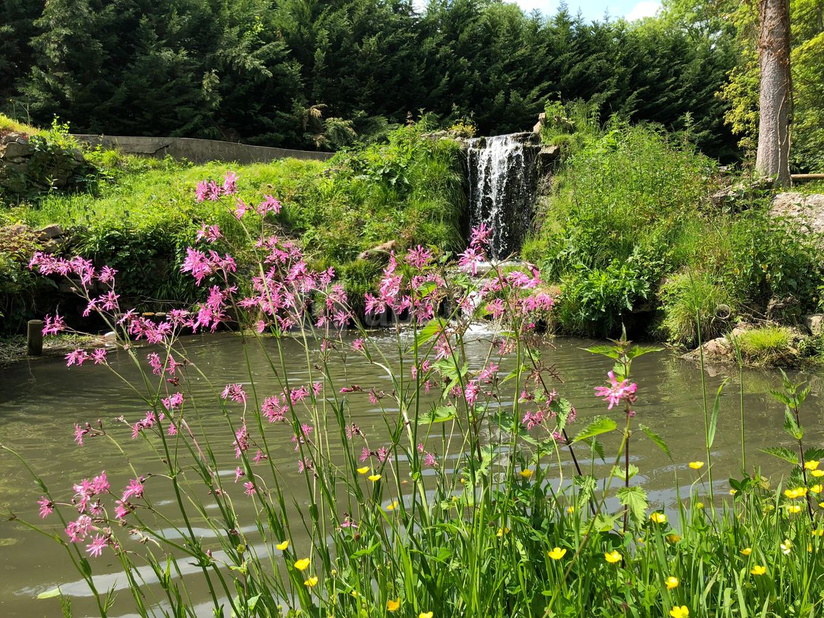Etang