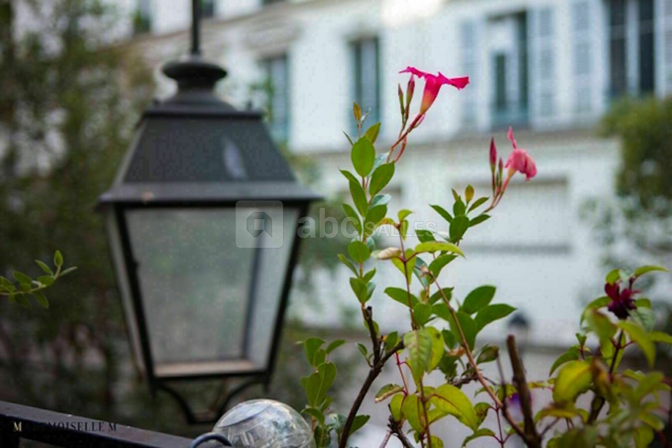 De la terrasse