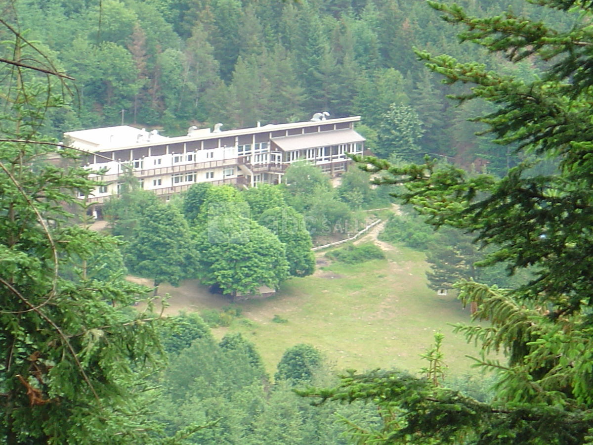 DOMAINE DE LALAYE JEUNESSE HEUREUSE