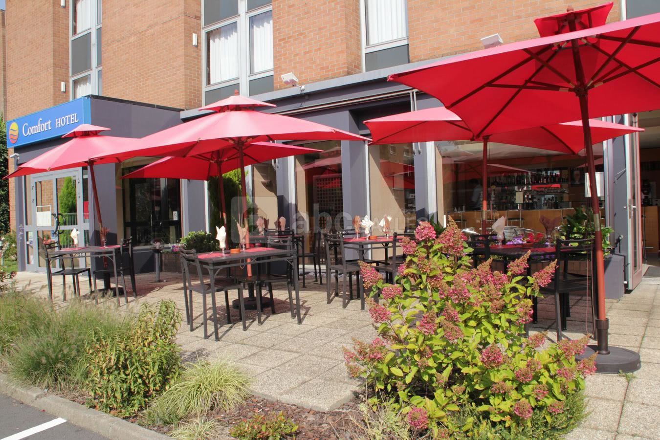 La terrasse