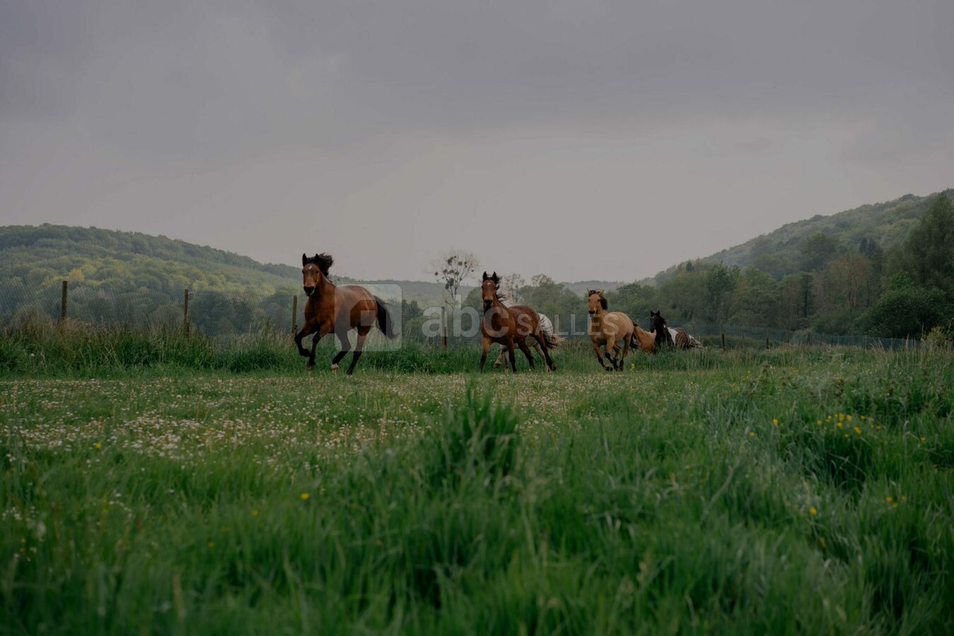 Domaine du Lieu Dieu
